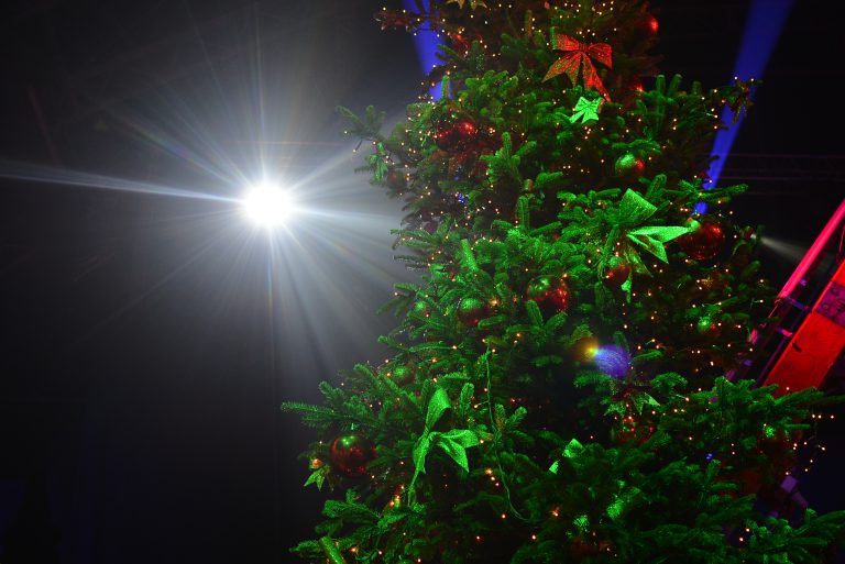 Alberi Di Natale